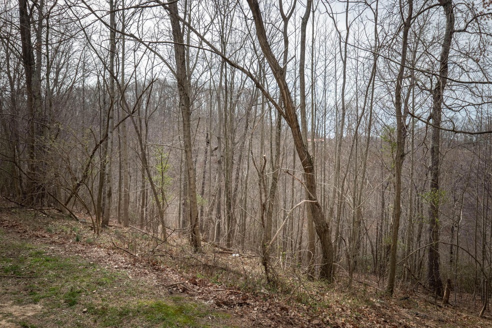 140 Pole Ridge Rd, Somerset, KY 42501 - photo 1