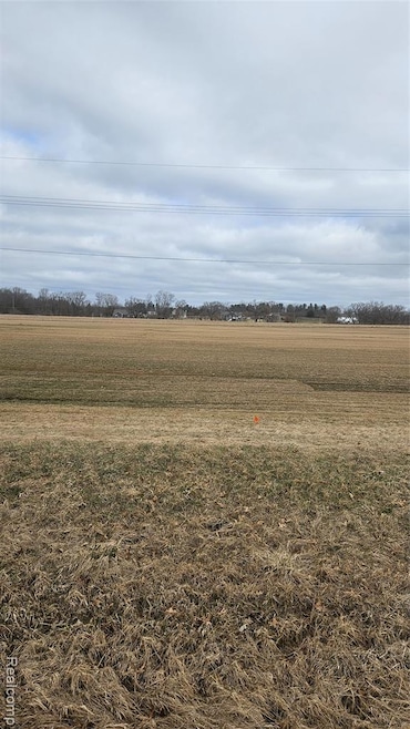 tbd clyde Clyde Rd, Hartland Township, MI 48430 - photo 1