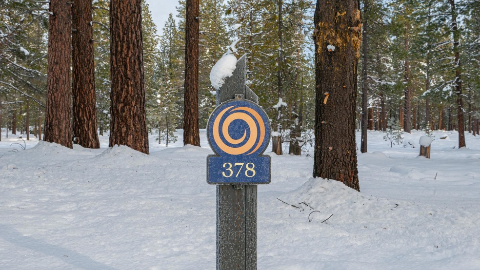 Lot 378