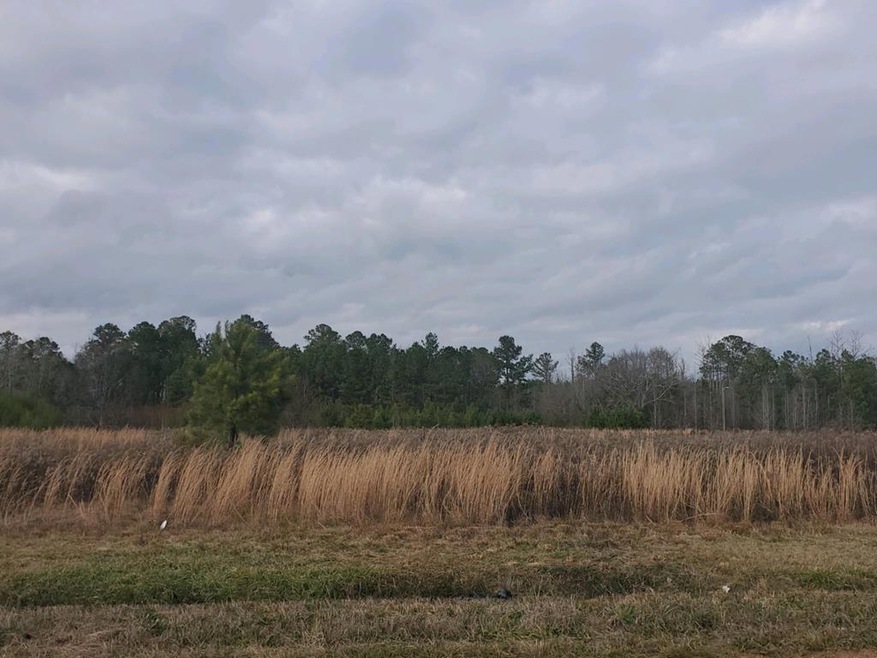 2** Middle River Rd, Americus, GA 31709 - photo 1