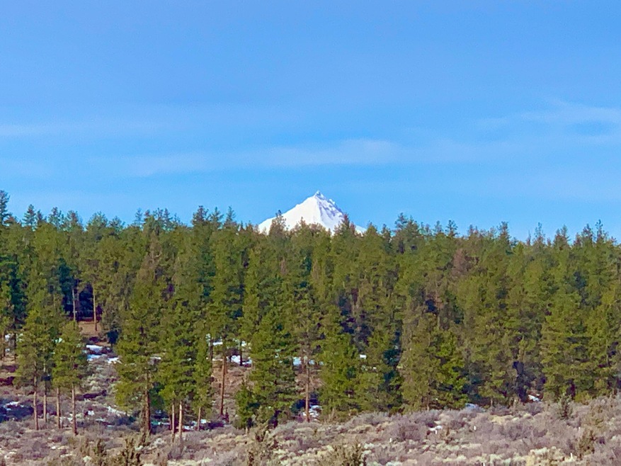 Mt Jefferson