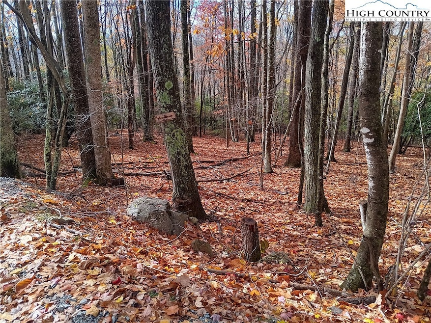 205 Rhododendron Dr, Beech Mountain, NC 28604 - photo 1