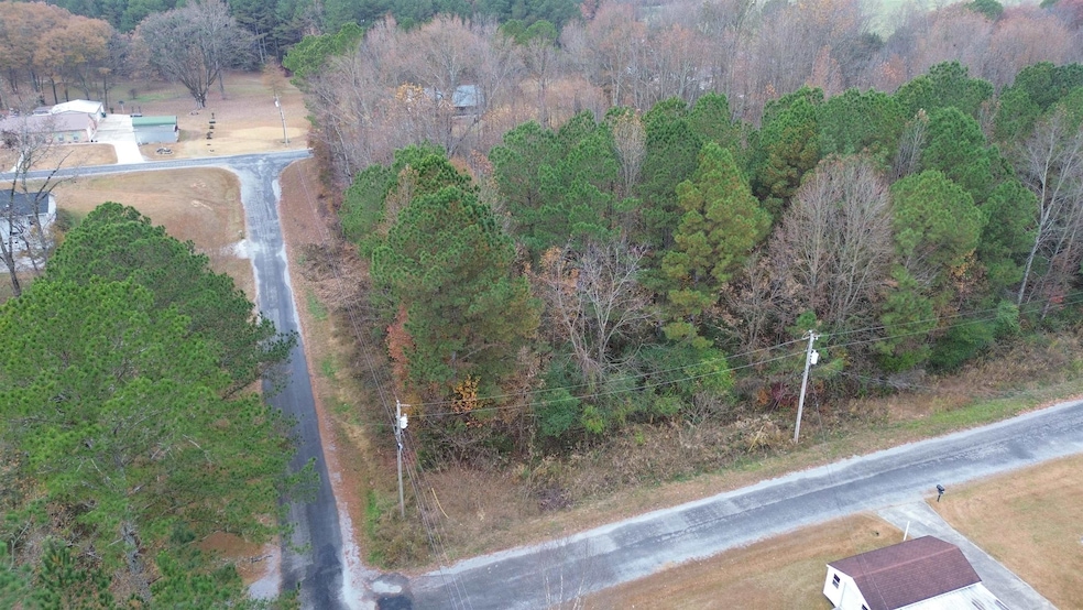 00 County Road 738, Cullman, AL 35055 - photo 1