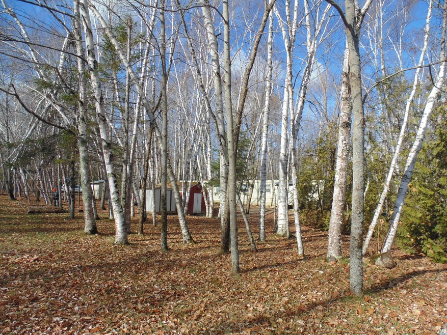DSC06579