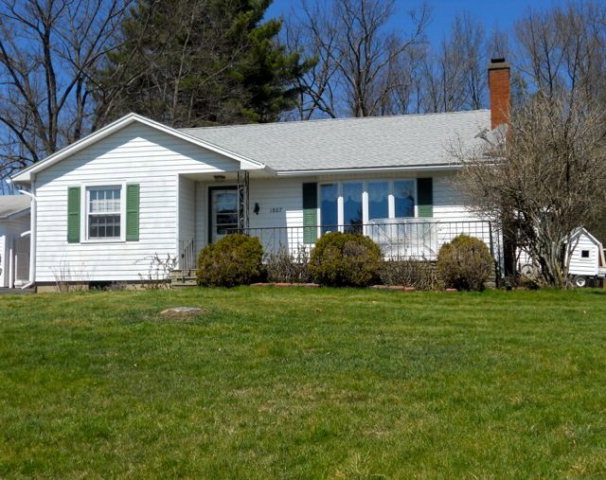 Main View