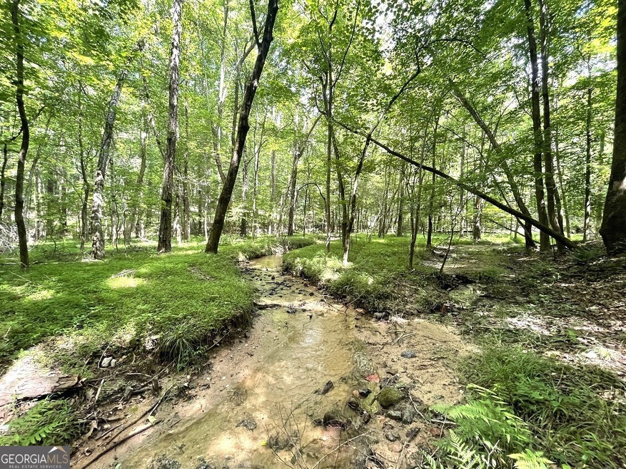 532 Mulberry Rd, Winder, GA 30680 - photo 1