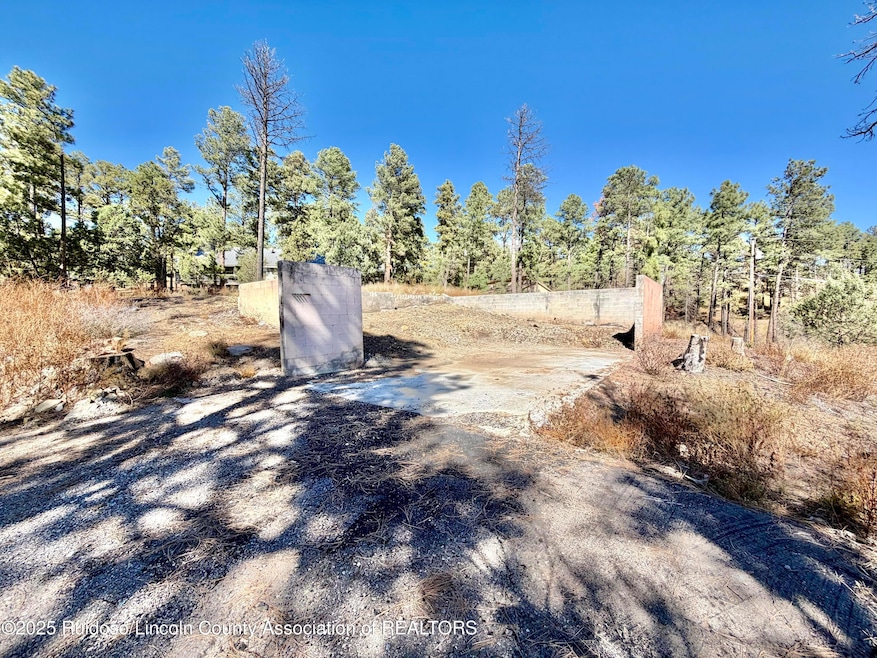 111 Pine Cone Ln, Alto, NM 88312 - photo 1