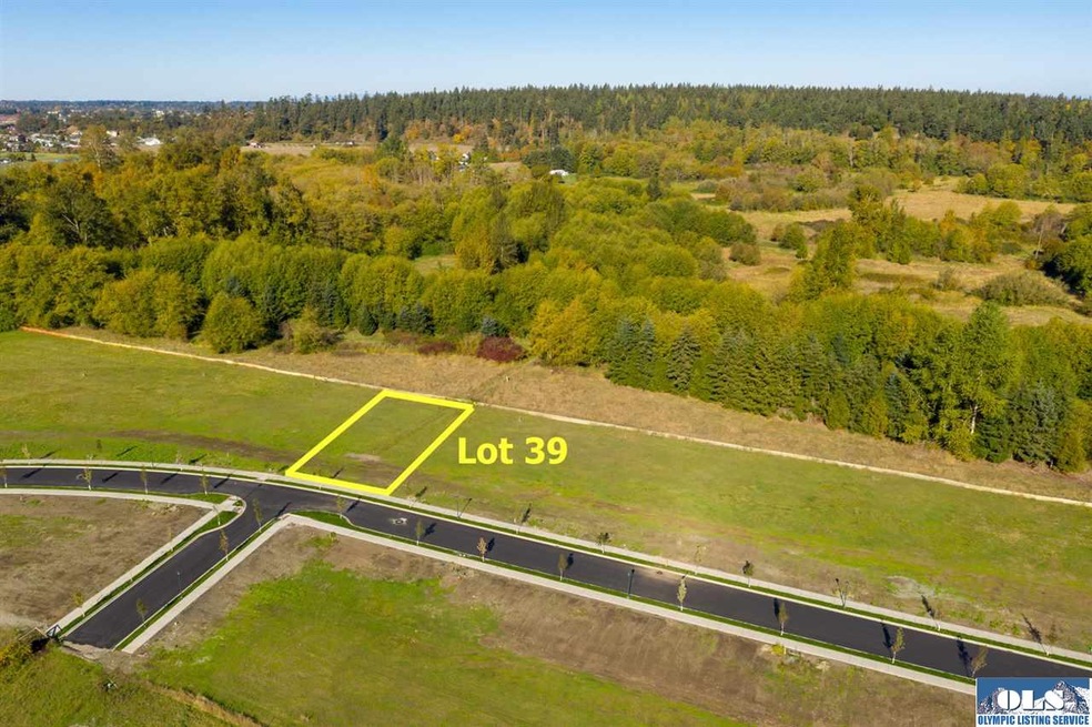 431 Broadmoor St, Sequim, WA 98382 - photo 1