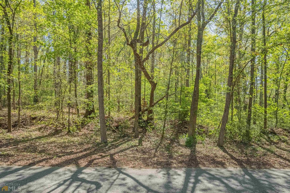 0 Rockyfo Rd unit 20033696, Carnesville, GA 30521 - photo 1