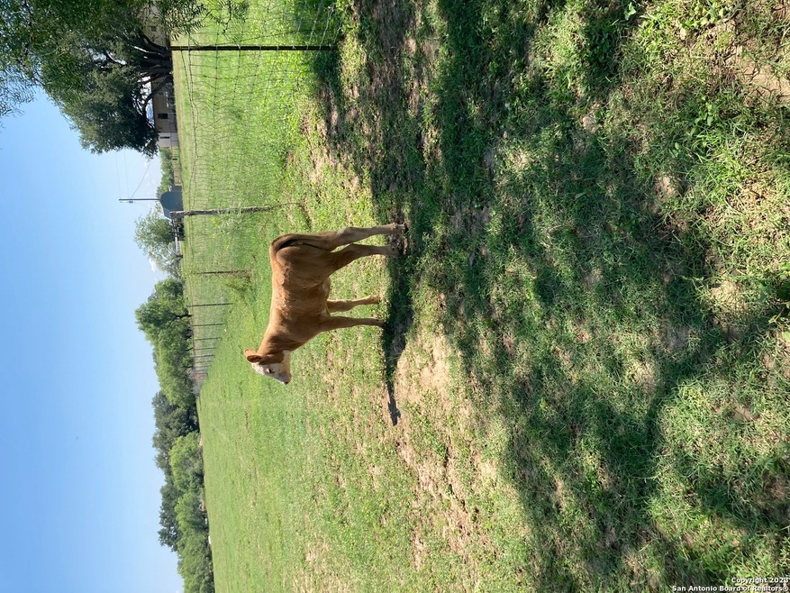 1045 County Road 665, Devine, TX 78016