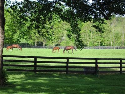 485 Chatham Rd, Harrodsburg, KY 40330 - photo 1