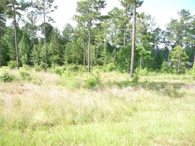 146 Walnut Creek Way unit 16, Gray, GA 31032 - photo 1