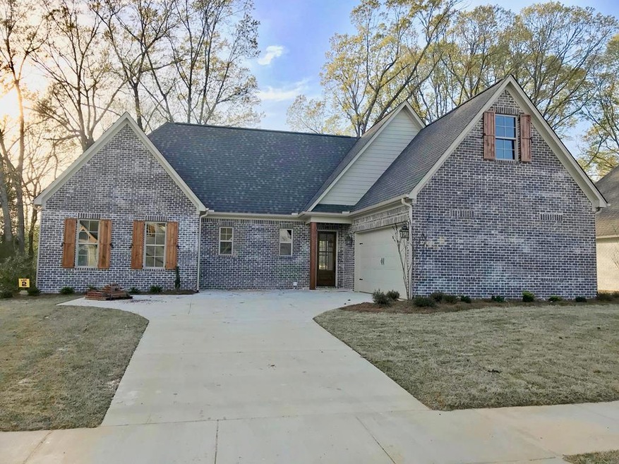 411 Elizabeth Ct, Oxford, MS 38655 - photo 1