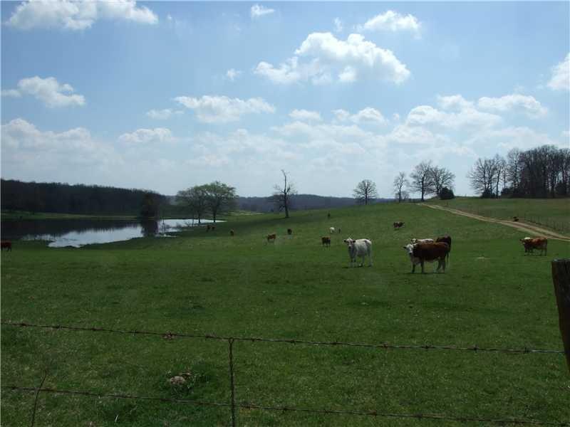 Land.