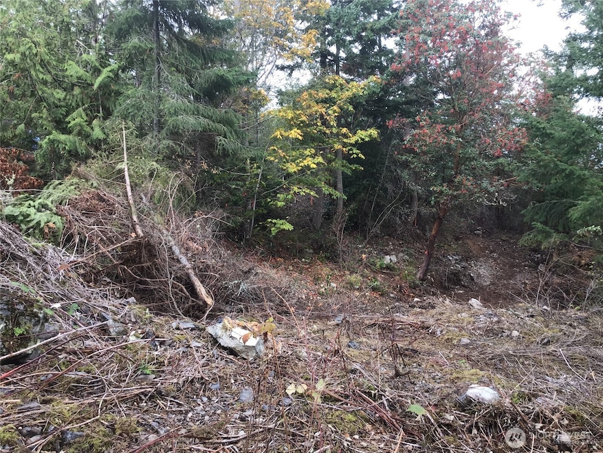 11939 New Morning Dr, Anacortes, WA 98221 - photo 1