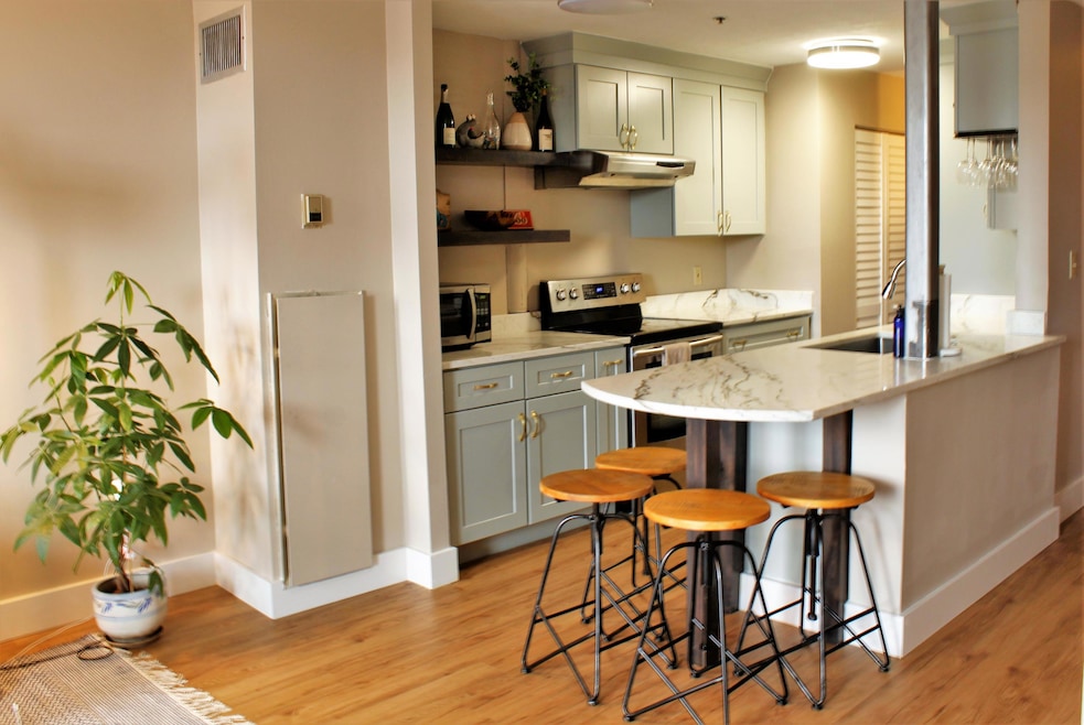 Island Terrace unit 304, Saco, ME 04072 - photo 1