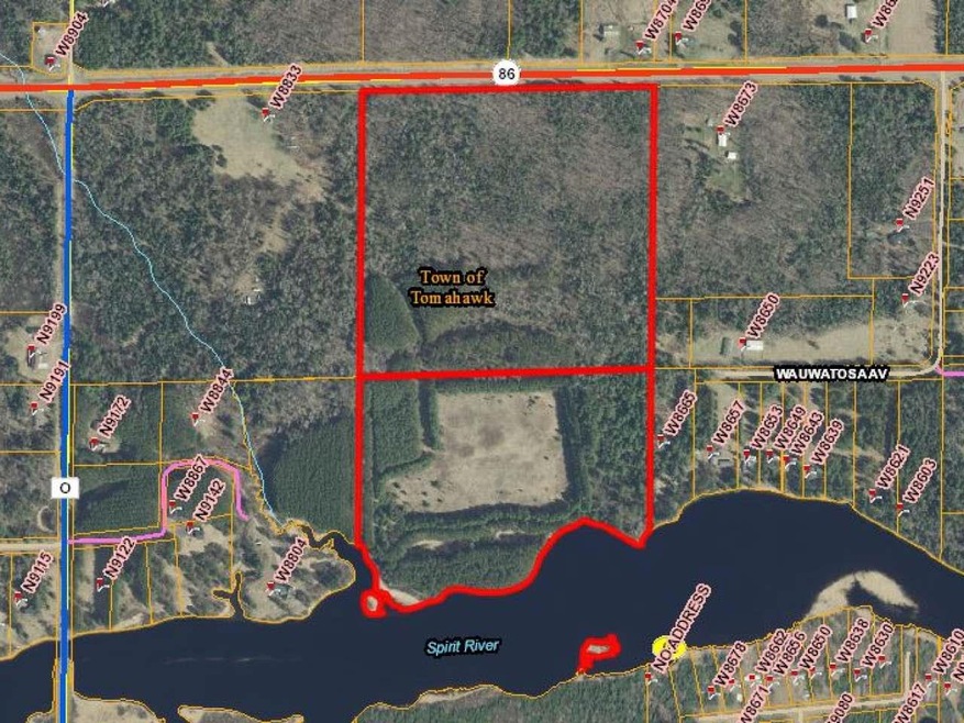 61 acres Hwy 86, Tomahawk, Wi, WI 54487 - photo 1