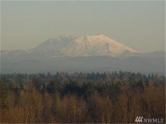 3 Volcano Rd, Napavine, WA 98532 - photo 1