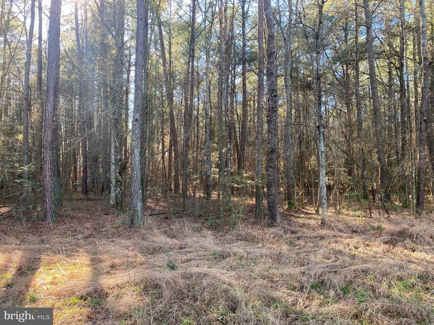 Sold $40,000 • Co-Listing Agent