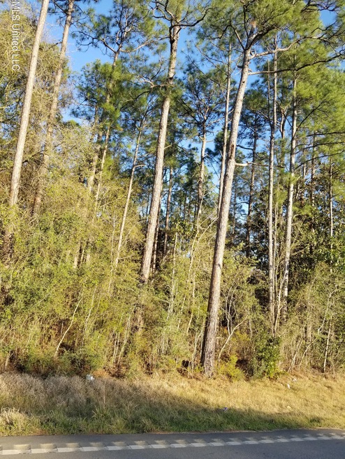 OCEAN SPRINGS HOSPITAL RD VIEW