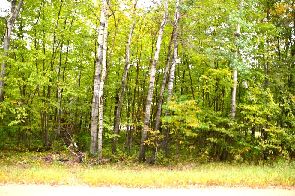 Lot 27 Block 7 Oak Dr, Moran Township, MN 56438 - photo 1