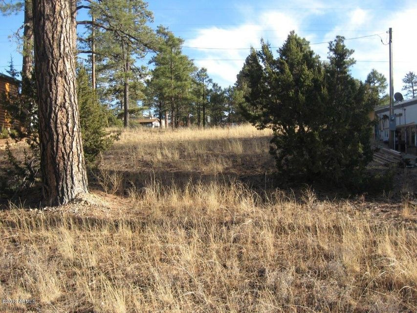 2053 Sagebrush-1