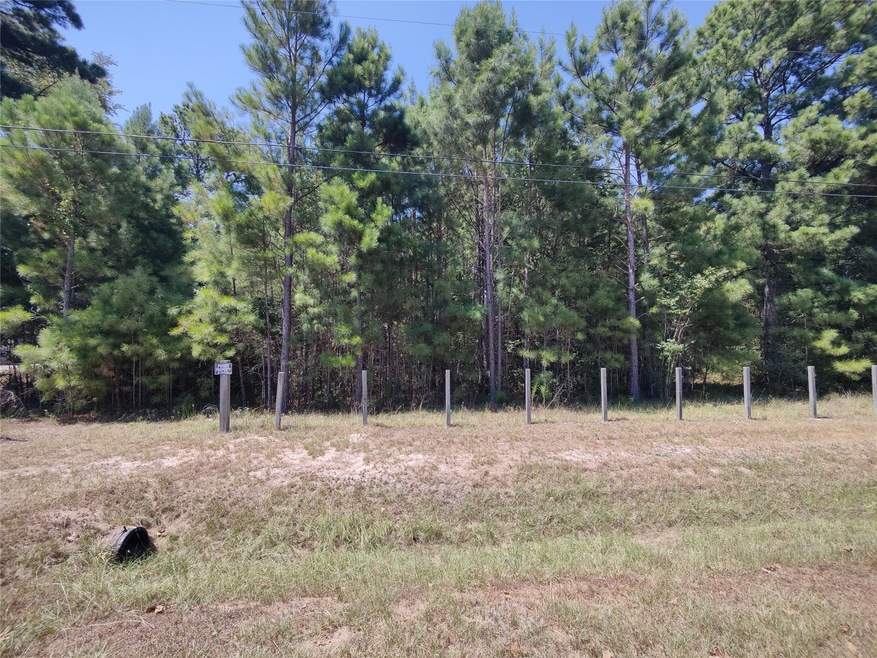 0 Fantail, Magnolia, TX 77355 - photo 1