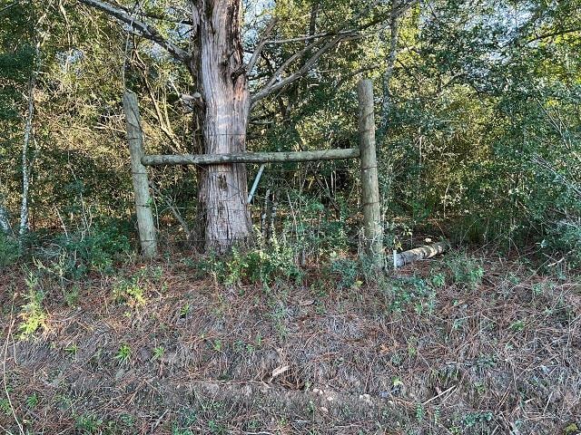 378 County Road 3290, Joaquin, TX 75954 - photo 1