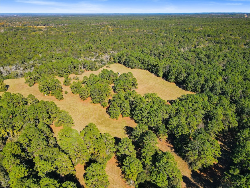 TBD Chandler Ln, Huntsville, TX 77320 - photo 1