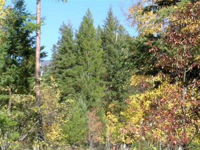 0 S Ferndale Dr unit 337797, Bigfork, MT 59911 - photo 1