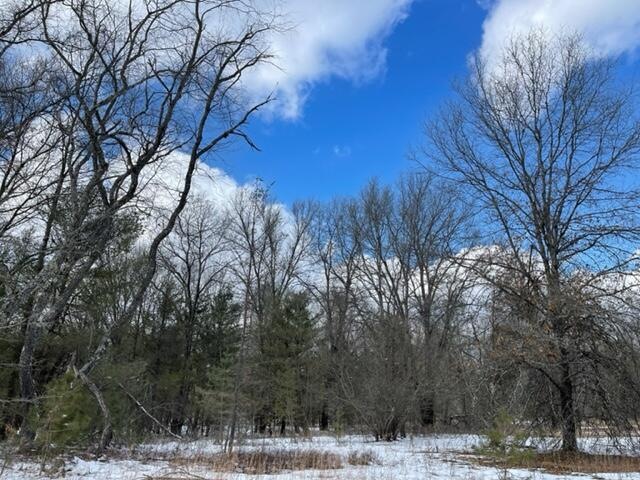 0 10 + - Acres Beaver Rd unit 22007967, Bitely, MI 49309 - photo 1