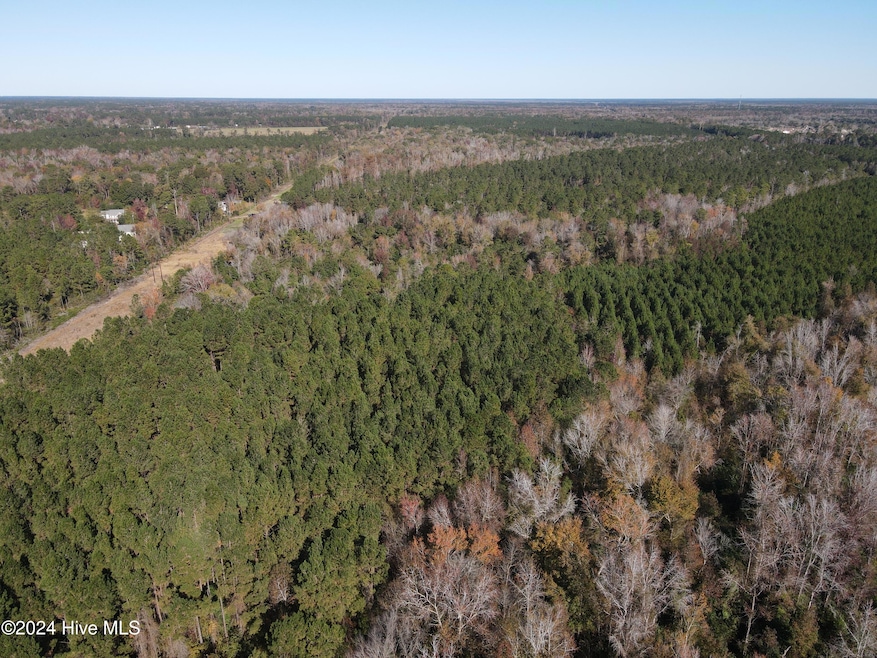 DJI_0009