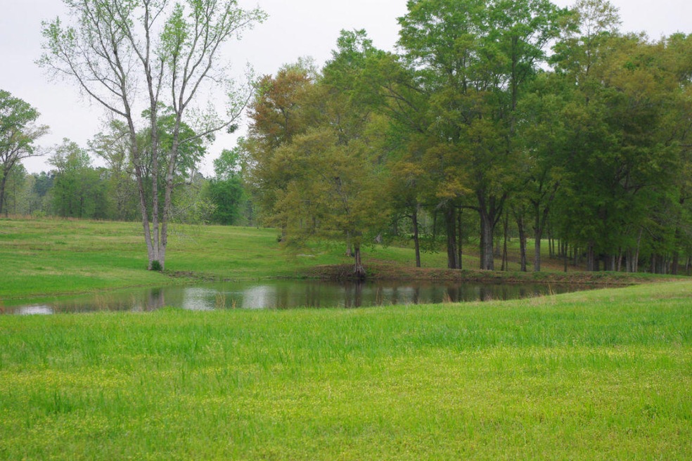 000 Carnes Rd_Pond