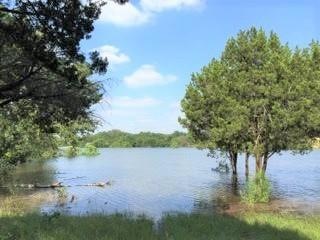 4007 Whitecrest Dr, Whitney, TX 76692 - photo 1