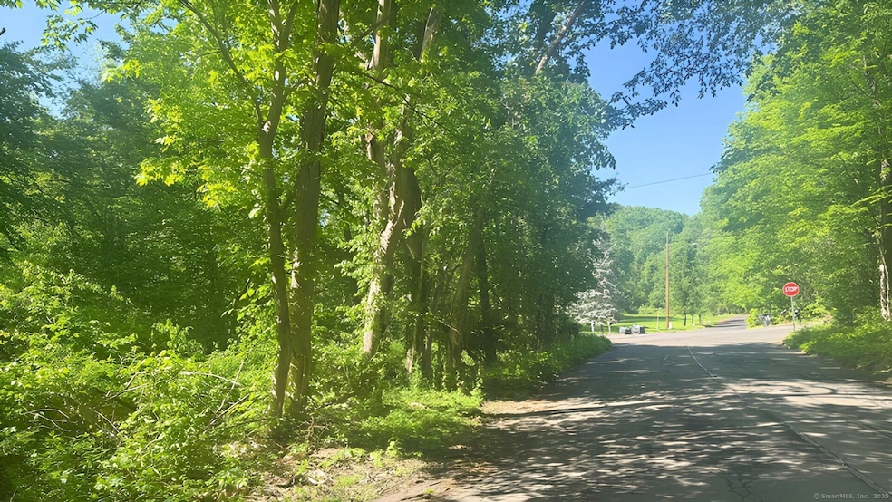 Street View of Lot