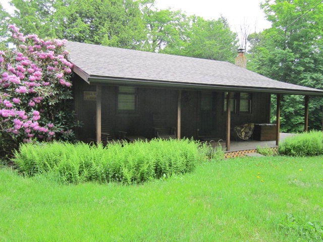 Main View
