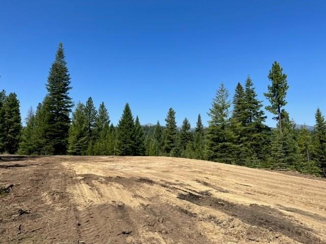 33 Challis Ln unit Lot 5, Cascade, ID 83611 - photo 1