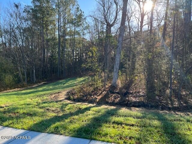 Lot 2 Commerce, Jacksonville, NC 28546 - photo 1