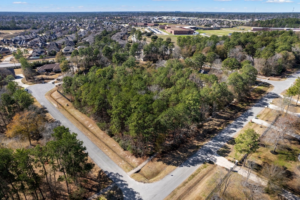 3711 Birnham Bend Cir, Spring, TX 77386 - photo 1