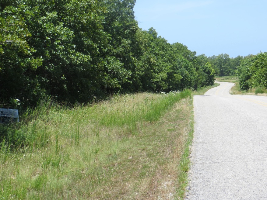 000 Bush Run, Mammoth Spring, AR 72554 - photo 1