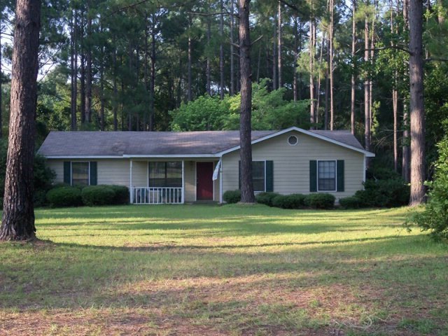 Main View