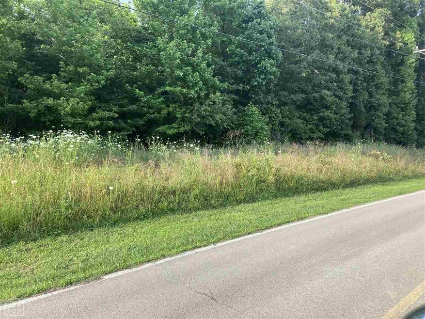 0 Cr 353 unit 10093250, Bono, AR 72416 - photo 1