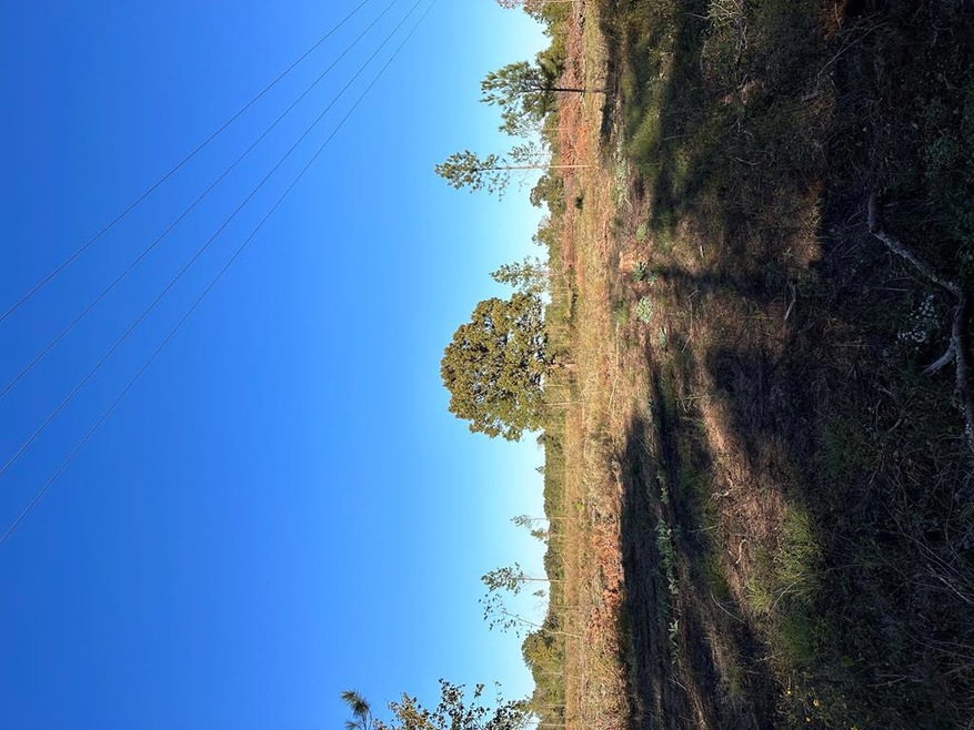 30 ac County Road 122, Nacogdoches, TX 75965 - photo 1