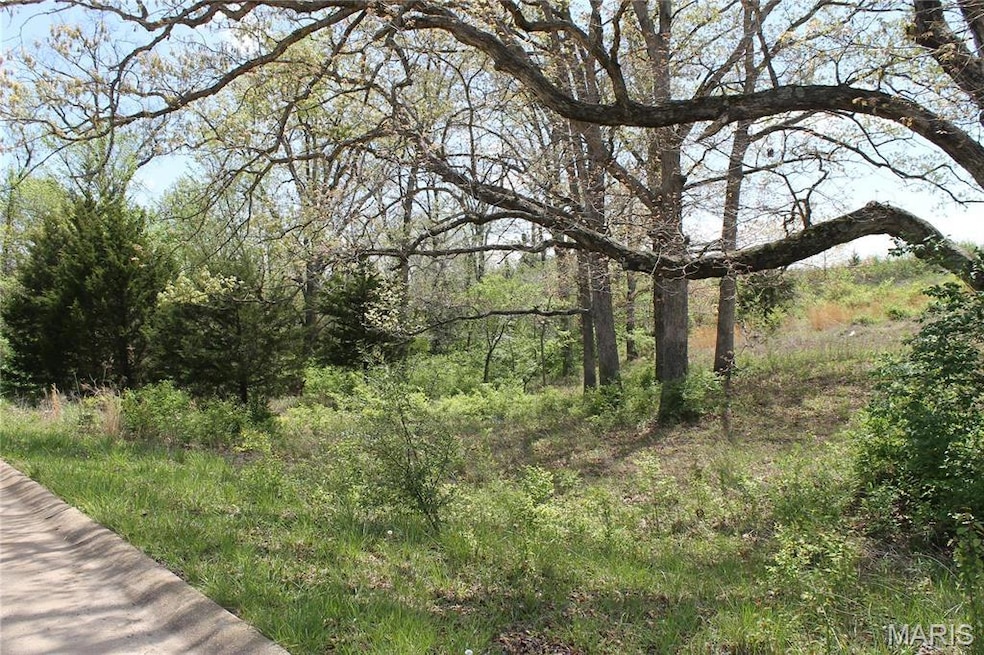 0 Oak Ridge Dr unit MIS25078521, Saint Clair, MO 63077 - photo 1