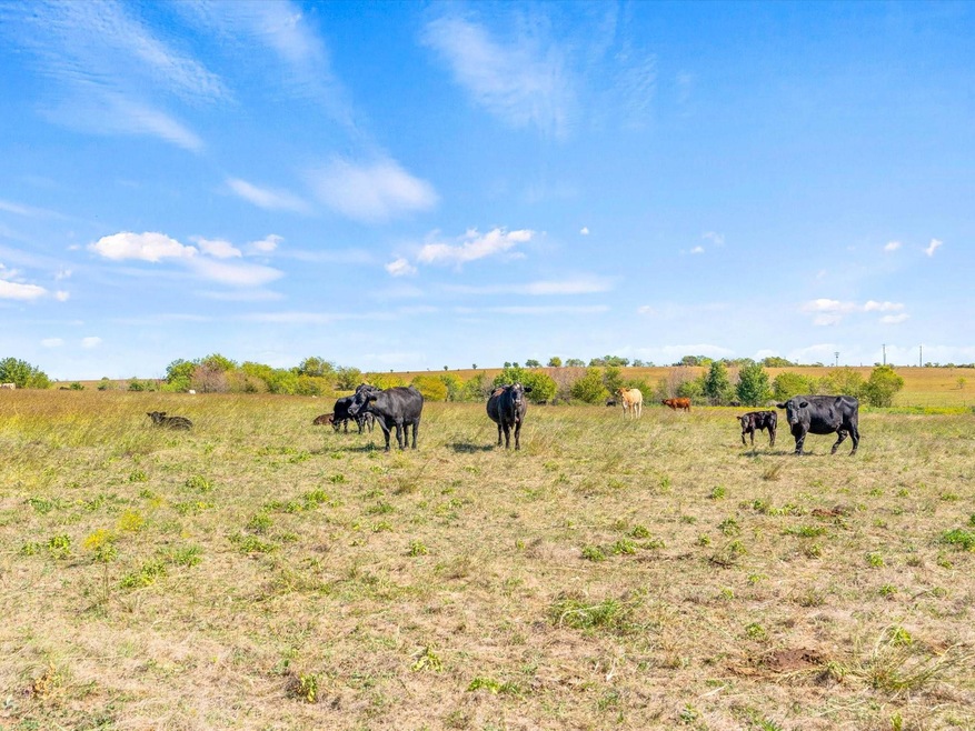 TBD Fm 934, Itasca, TX 76055 MLS 20190248