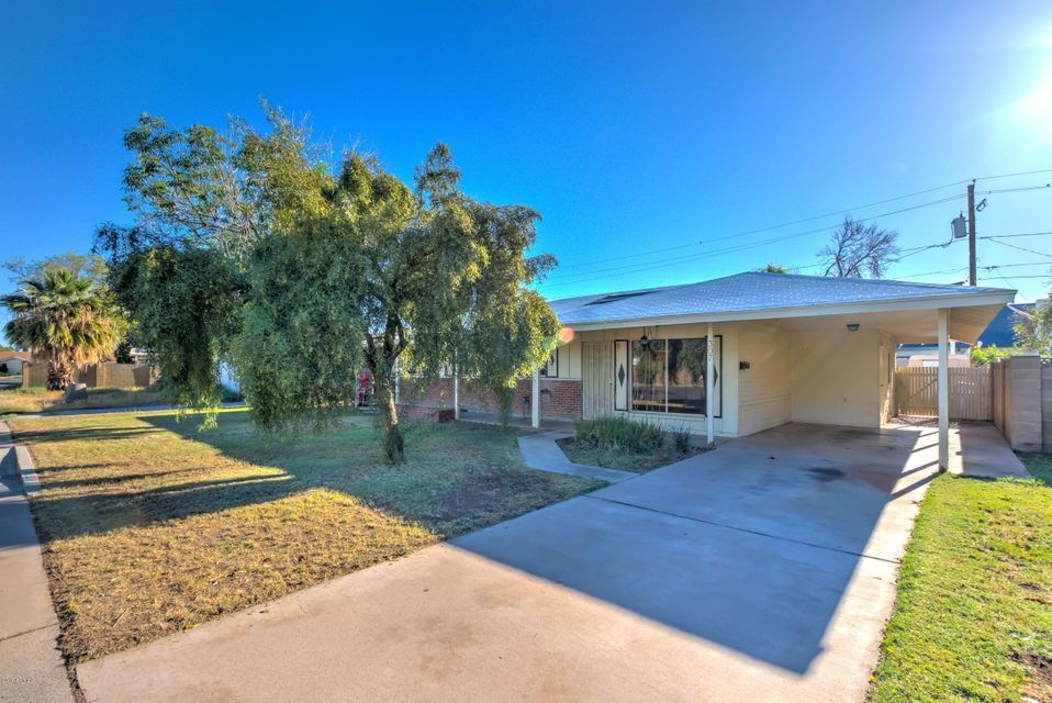 307 N Cholla-1
