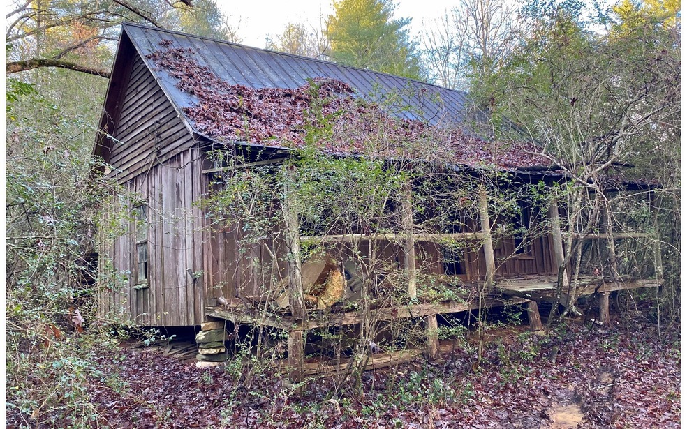 Main View