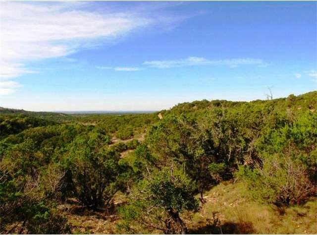 807 Bell Springs Rd, Dripping Springs, TX 78620 - photo 1