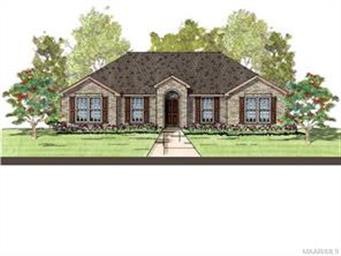 Chestnut elevation