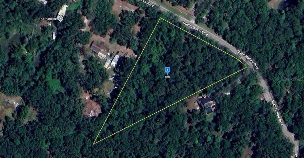 8061 Quail Hollow Blvd, Wesley Chapel, FL 33544 - photo 1
